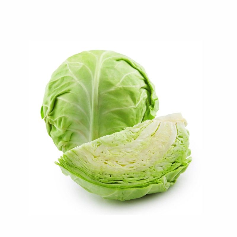 Cabbage