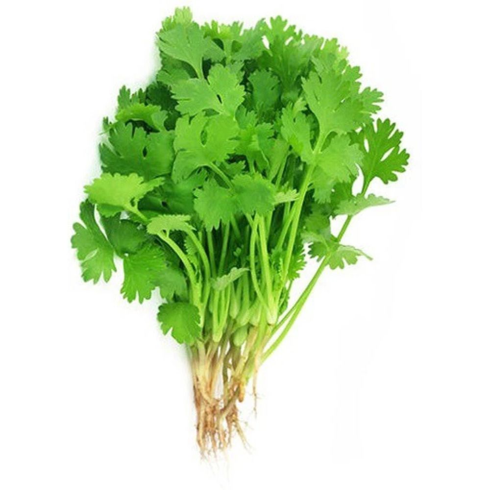 Dhaniya/Coriander Leaves